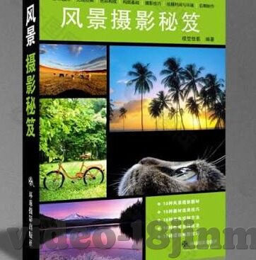 人妻10p-探索人妻角色的多维面向,从爱与责任到自我成长